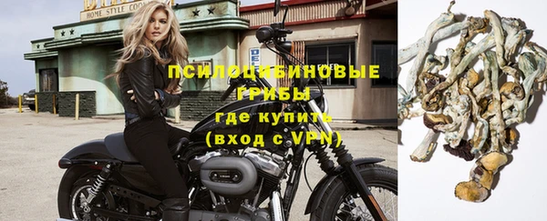 бошки Балахна