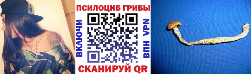 Псилоцибиновые грибы прущие грибы  Давлеканово 